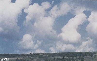 nube vertical 1