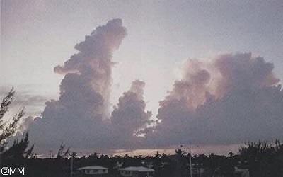 nube vertical 5
