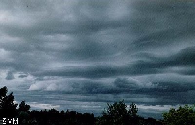 Imagen de nube baja