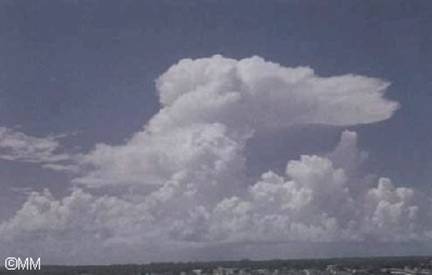 Cumulonimbus (Cb) image