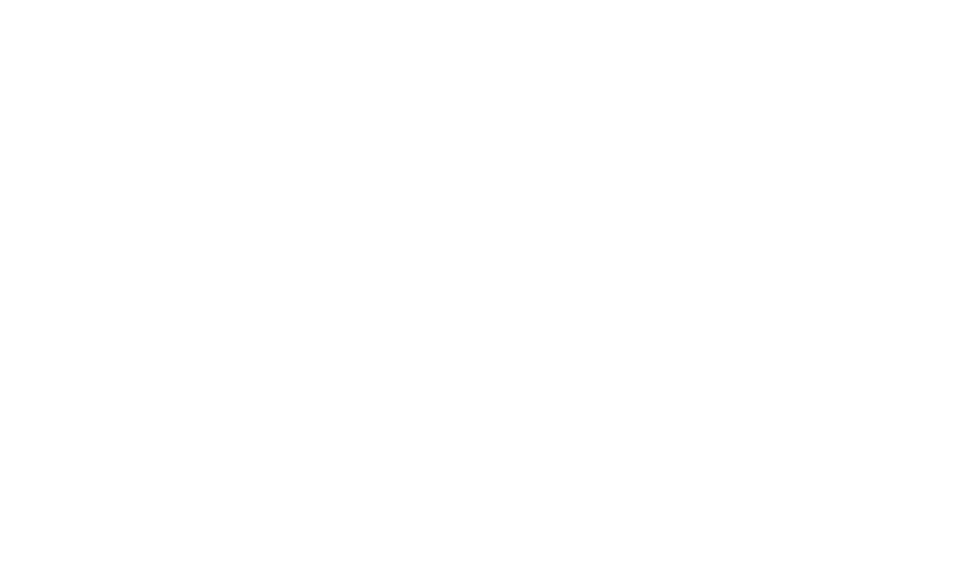 Logo-IMN